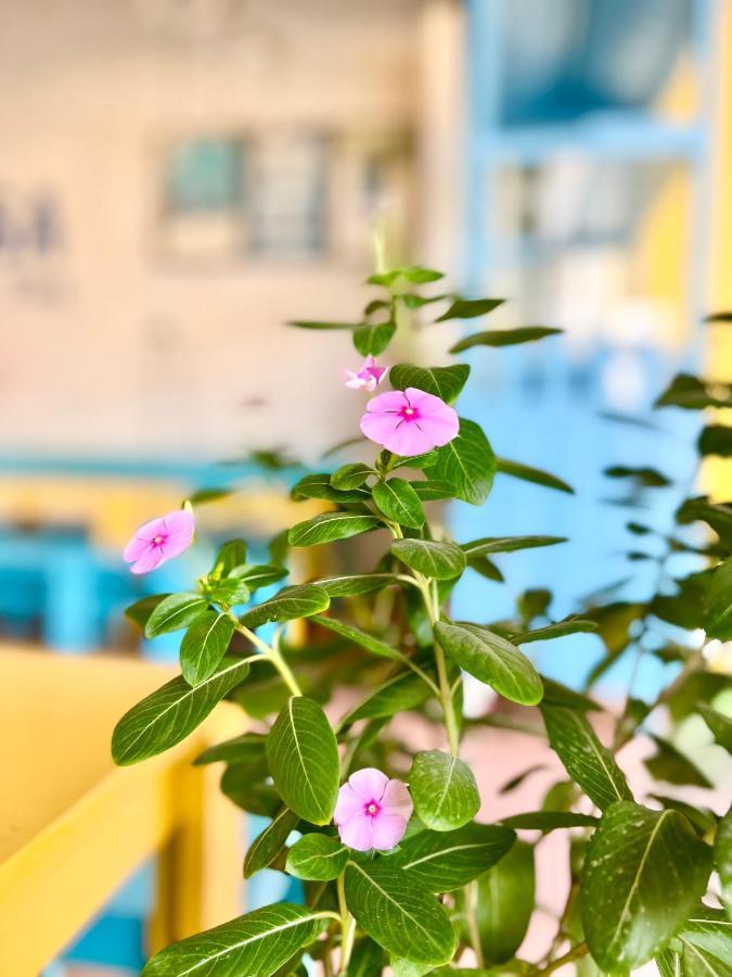 La Casa Homestay - 11B Anh Dao, Bai Chay ハロン エクステリア 写真